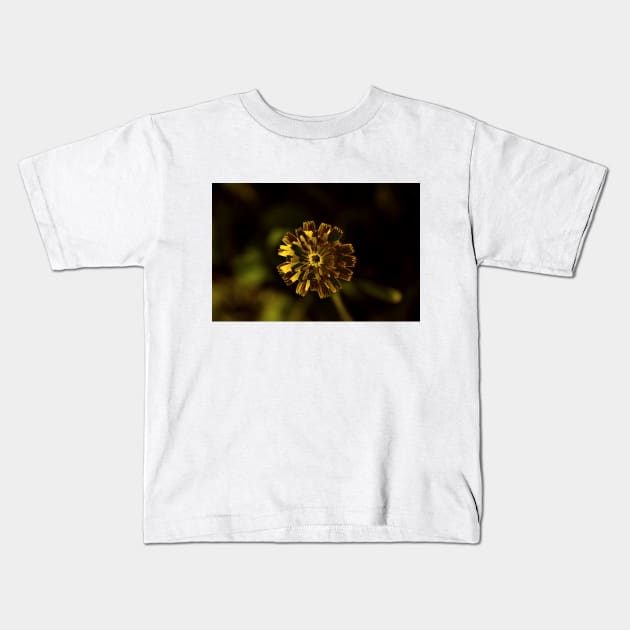 Abstract Dandelion in Warm Colors Kids T-Shirt by mavicfe